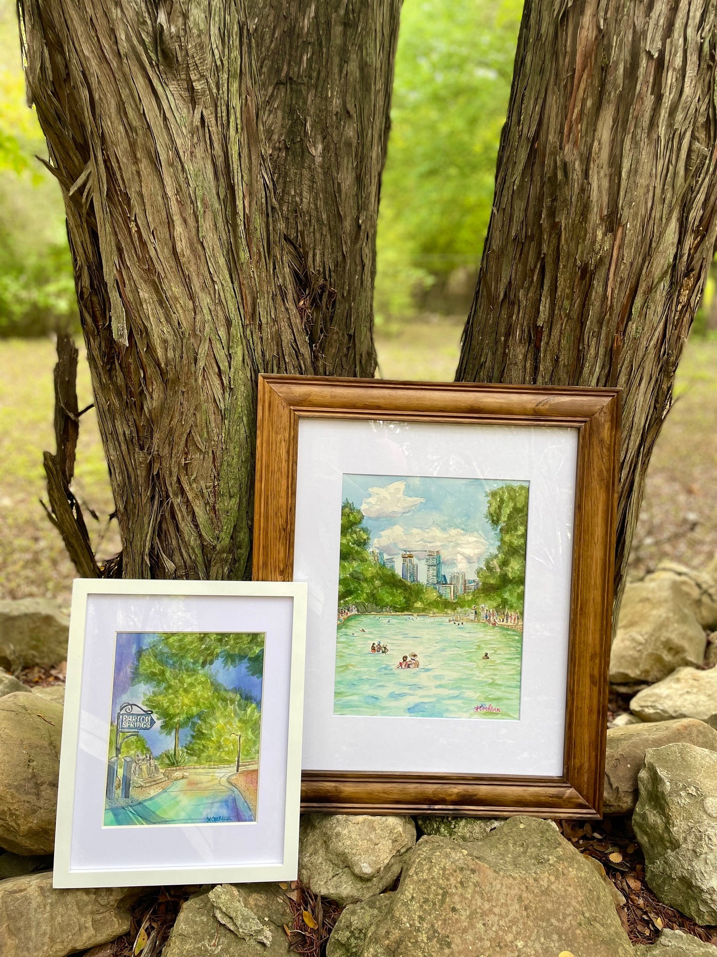 Barton Springs Day