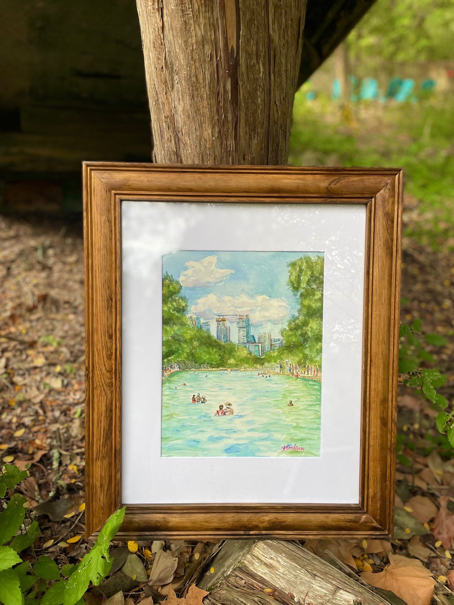 Barton Springs Day