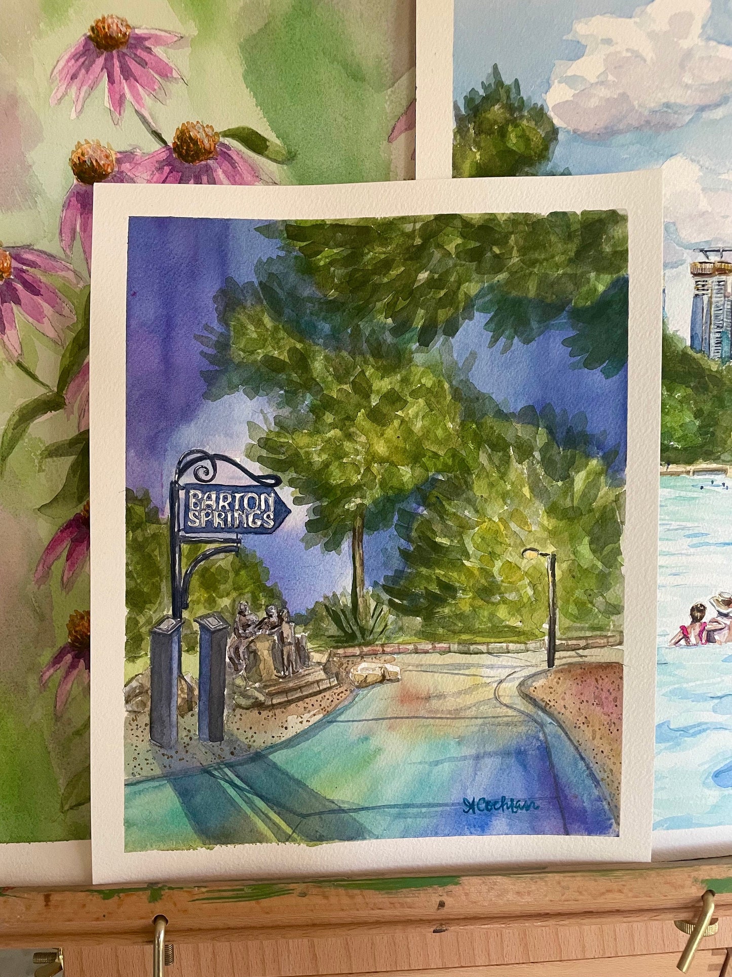 Barton Springs Night
