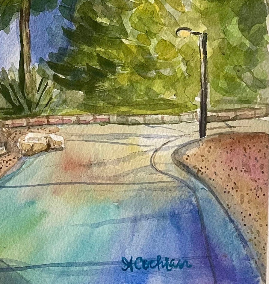 Barton Springs Night
