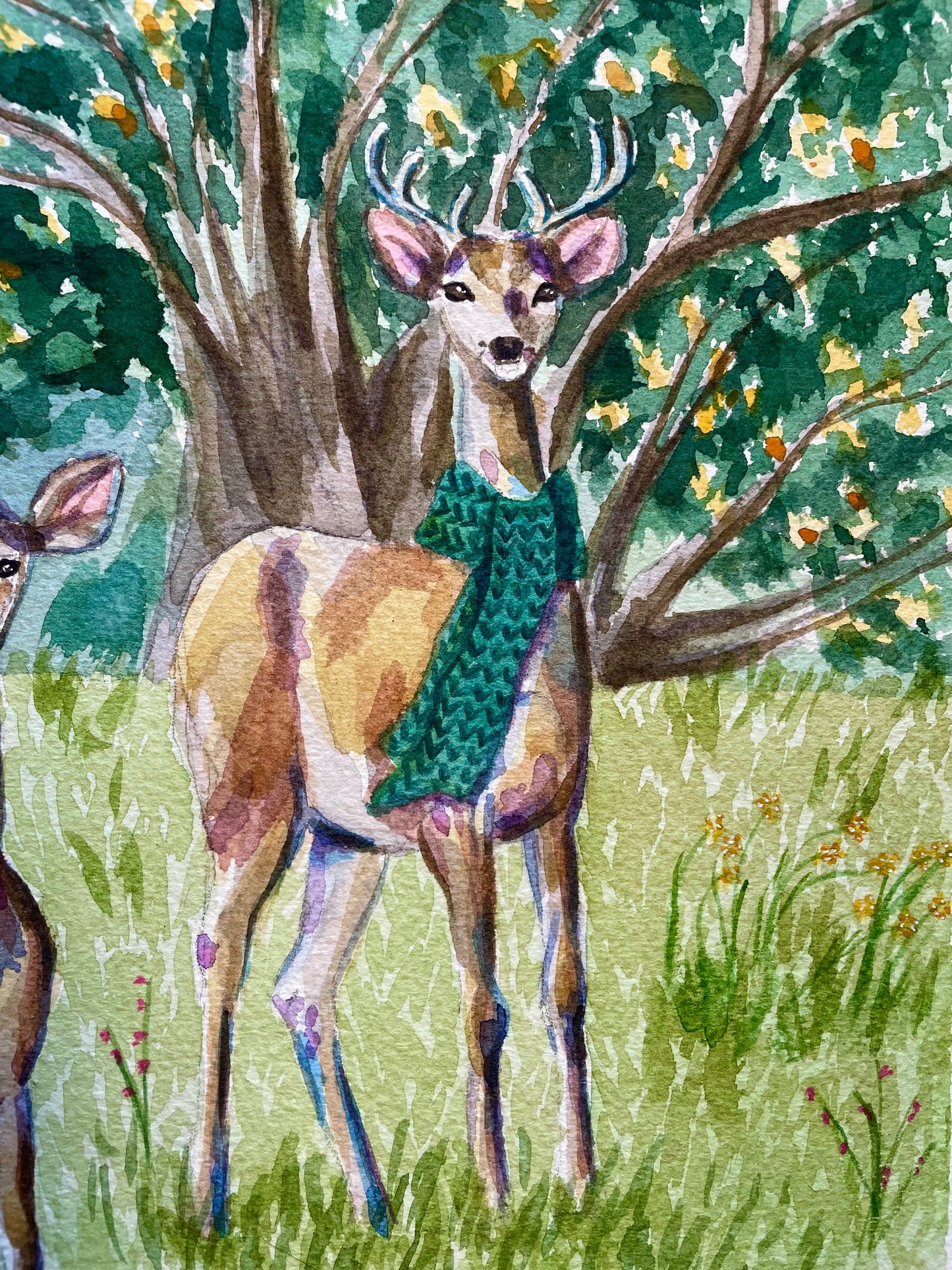 Deer Folk