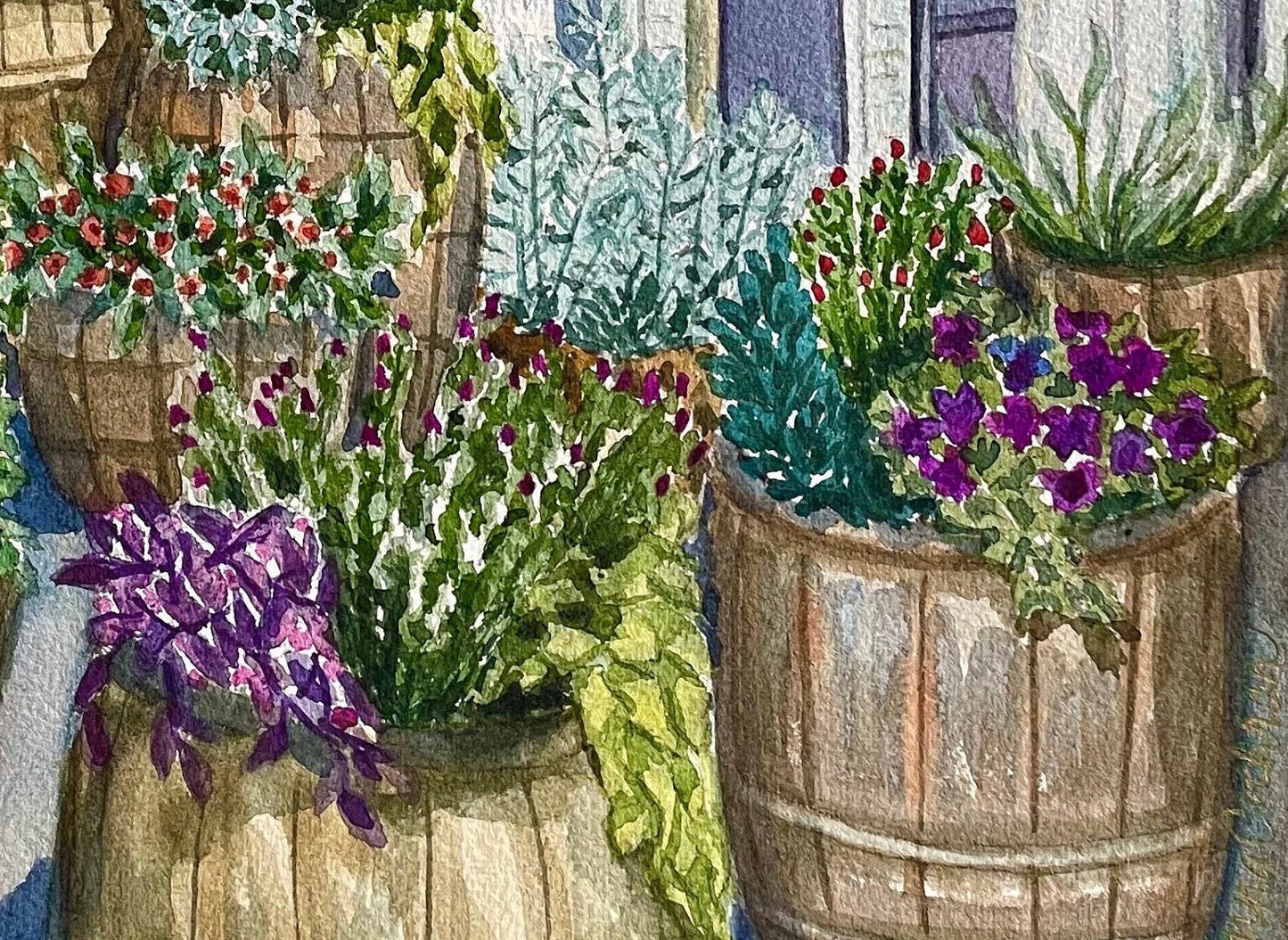 Gruene Hall Gruenery