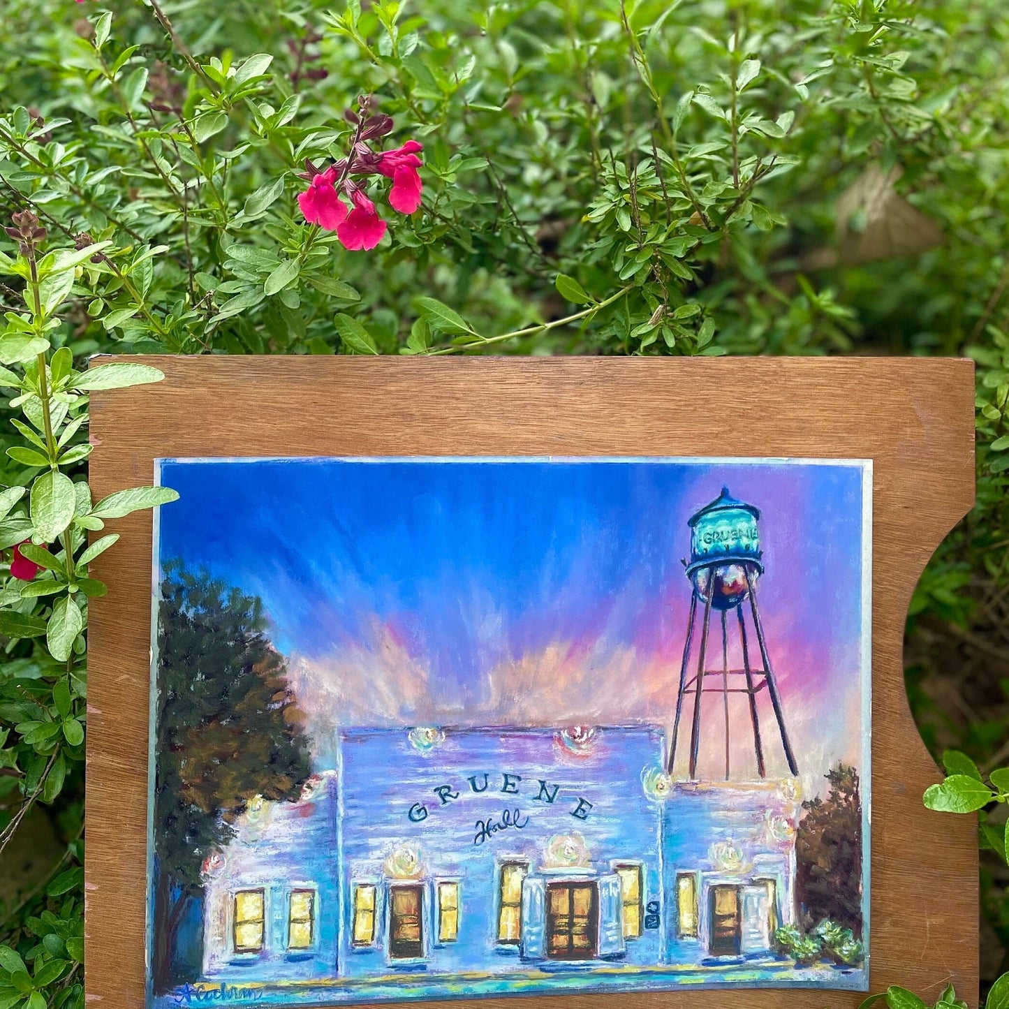 Gruene Hall Pastel