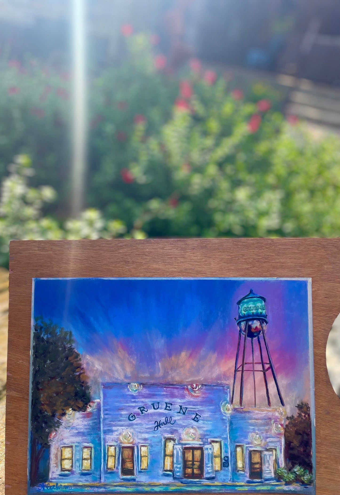 Gruene Hall Pastel